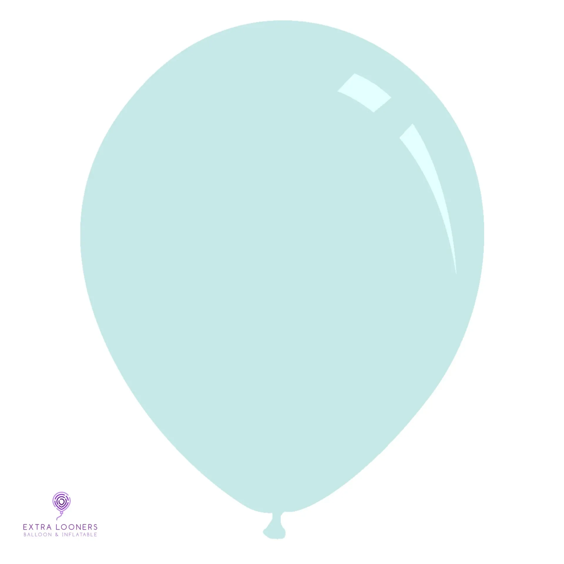 [DCMX26-277] Decomex 24" Bleu Ciel Ballons en latex